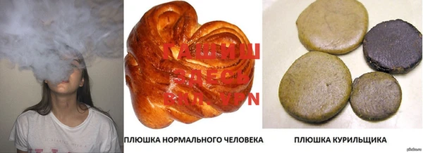 СК Новозыбков