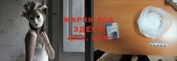 прущие грибы Новокубанск