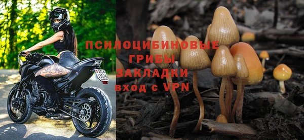 прущие грибы Новокубанск