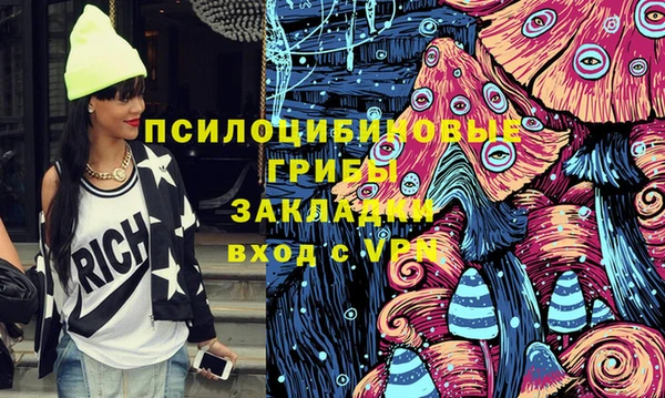 СК Новозыбков