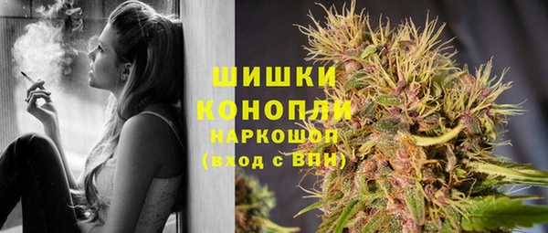 СК Новозыбков
