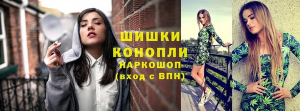 СК Новозыбков