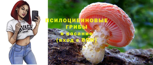 СК Новозыбков