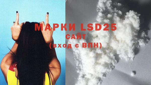прущие грибы Новокубанск