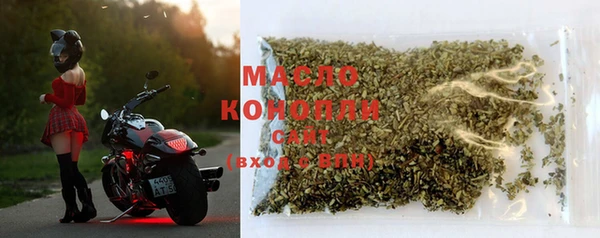 СК Новозыбков
