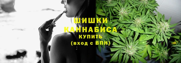 прущие грибы Новокубанск
