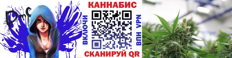 omg вход  Ковылкино  Шишки марихуана White Widow  купить наркоту 